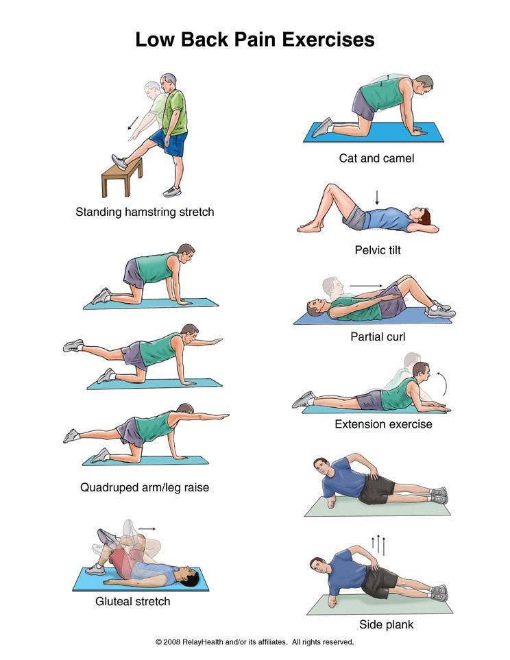 back exercises